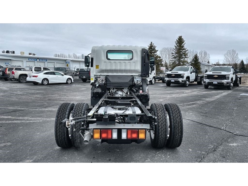 2024 Chevrolet Low Cab Forward 4500 MEDIUM ASH GRAY