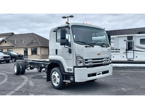 2024 Chevrolet Low Cab Forward 6500 XD MEDIUM ASH GRAY