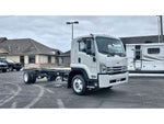 2024 Chevrolet Low Cab Forward 6500 XD MEDIUM ASH GRAY