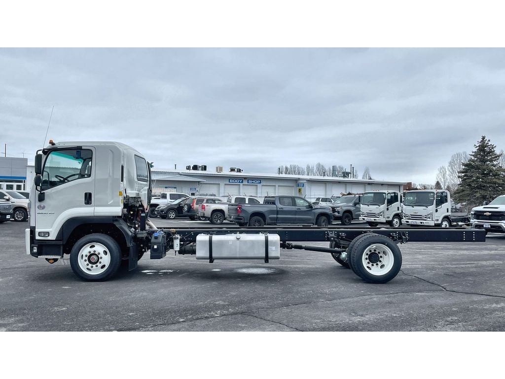 2024 Chevrolet Low Cab Forward 6500 XD MEDIUM ASH GRAY