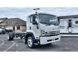 2024 Chevrolet Low Cab Forward 6500 XD MEDIUM ASH GRAY